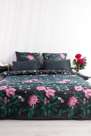 5c6d576c-3786-4a4d-8925-04cdfe0011e4